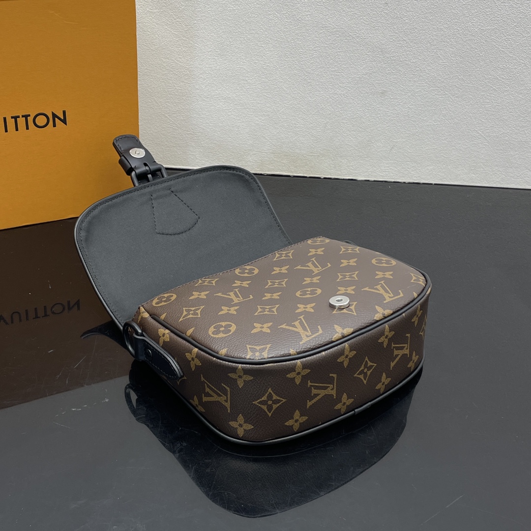 Louis Vuitton Satchel Bags